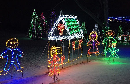 Lions Festival of lights - Top 10 do's in NA