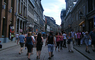 Explore old Montreal